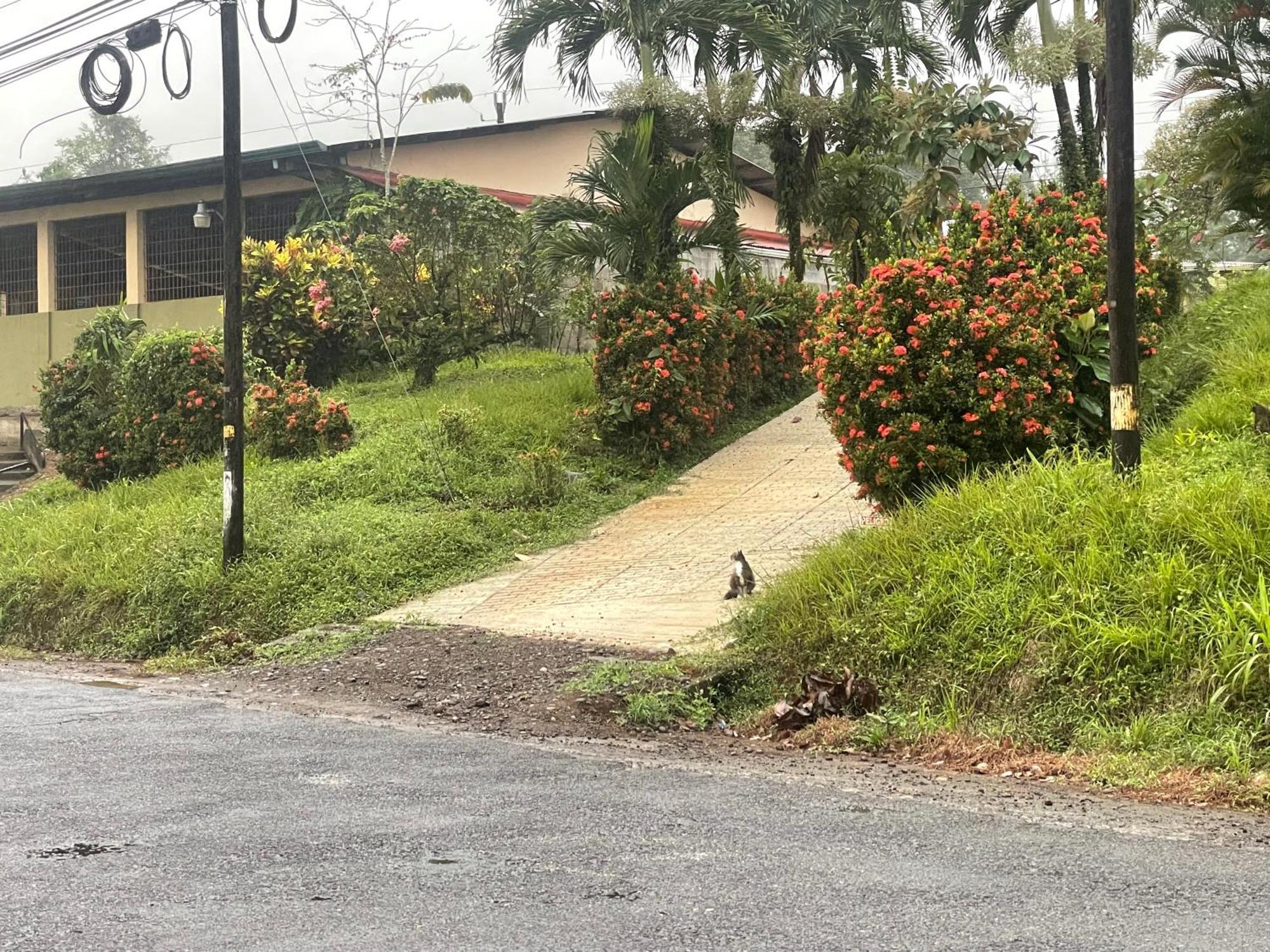 Hotel Tierra De Volcanes La Fortuna Esterno foto